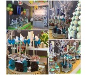 Planet Kids House Organizasyon